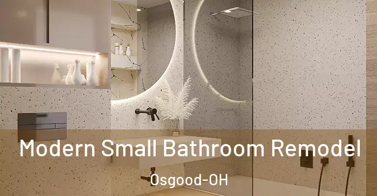 inner Bathroom imggen Modern Small Bathroom Remodel Osgood-OH