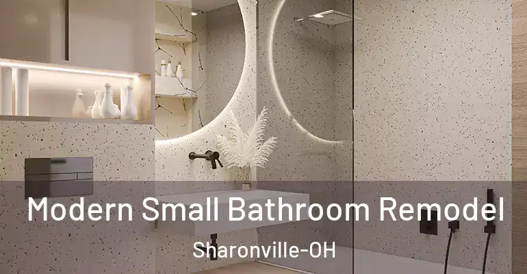 inner Bathroom imggen Modern Small Bathroom Remodel Sharonville-OH
