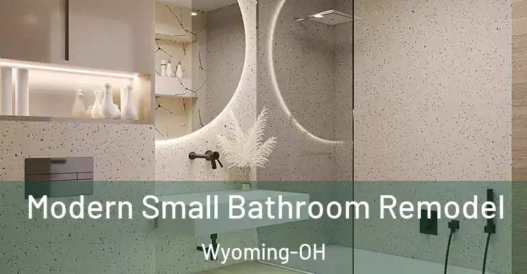 inner Bathroom imggen Modern Small Bathroom Remodel Wyoming-OH