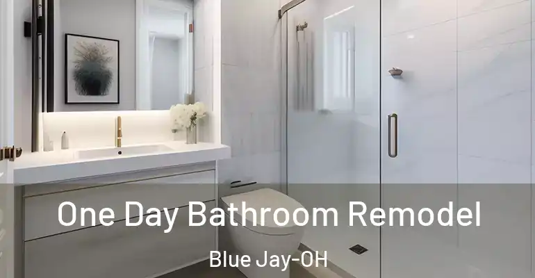 inner Bathroom imggen One Day Bathroom Remodel Blue Jay-OH