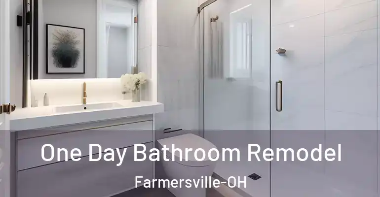 inner Bathroom imggen One Day Bathroom Remodel Farmersville-OH