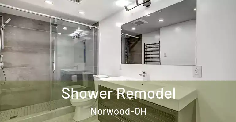 inner Bathroom imggen Shower Remodel Norwood-OH