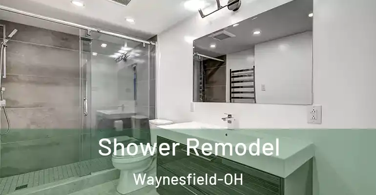inner Bathroom imggen Shower Remodel Waynesfield-OH
