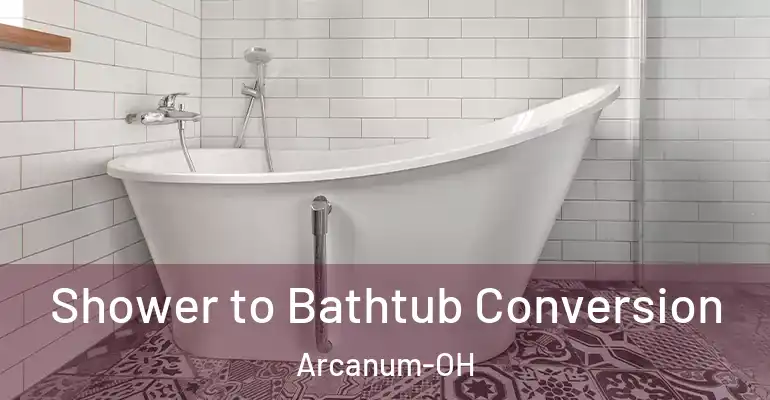inner Bathroom imggen Shower to Bathtub Conversion Arcanum-OH