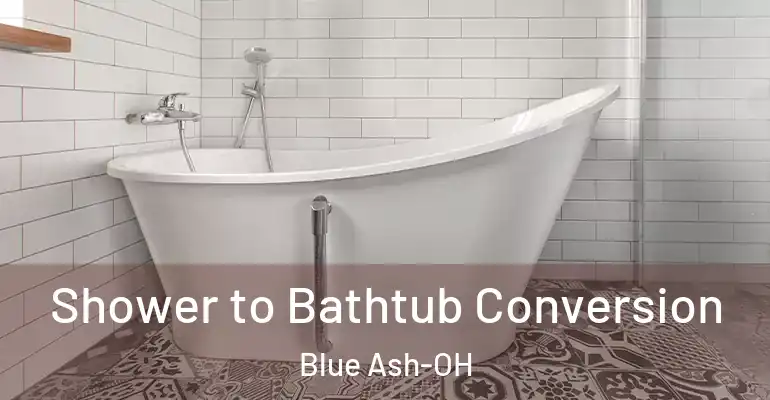 inner Bathroom imggen Shower to Bathtub Conversion Blue Ash-OH