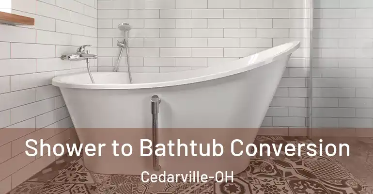 inner Bathroom imggen Shower to Bathtub Conversion Cedarville-OH