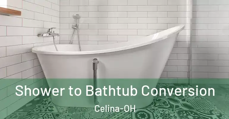 inner Bathroom imggen Shower to Bathtub Conversion Celina-OH