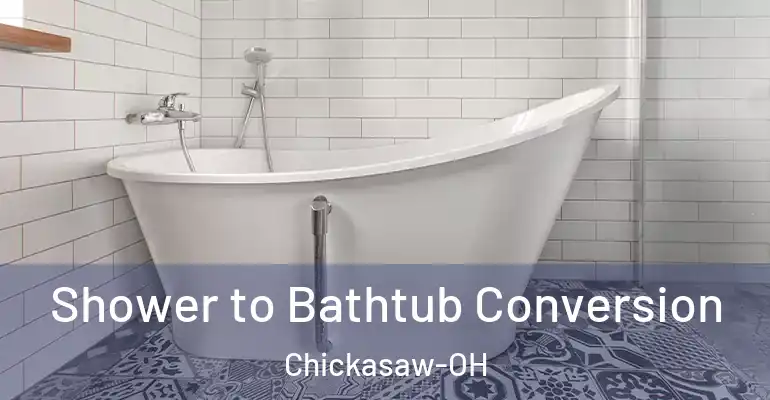 inner Bathroom imggen Shower to Bathtub Conversion Chickasaw-OH