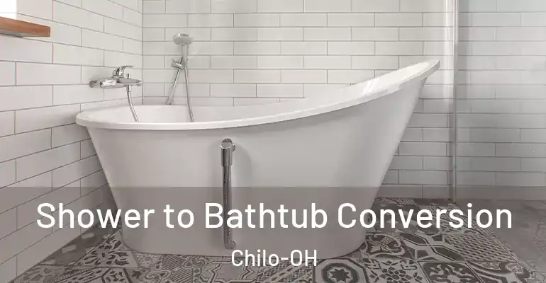 inner Bathroom imggen Shower to Bathtub Conversion Chilo-OH