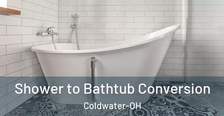 inner Bathroom imggen Shower to Bathtub Conversion Coldwater-OH