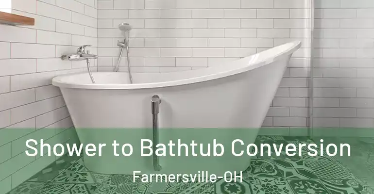 inner Bathroom imggen Shower to Bathtub Conversion Farmersville-OH