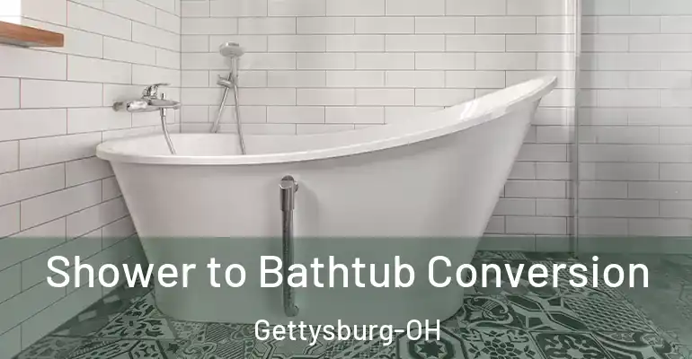 inner Bathroom imggen Shower to Bathtub Conversion Gettysburg-OH