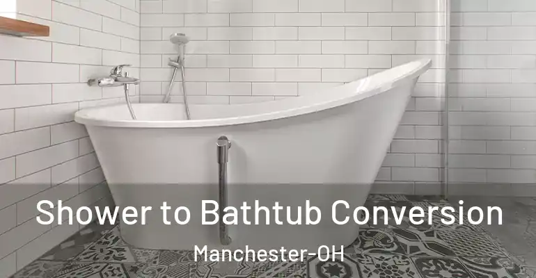 inner Bathroom imggen Shower to Bathtub Conversion Manchester-OH