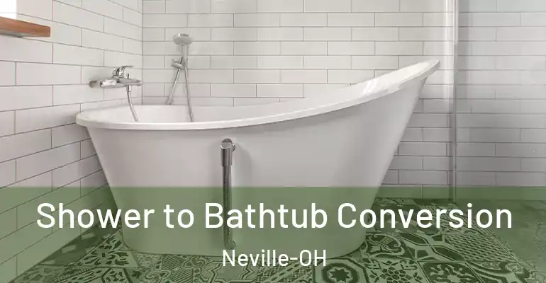 inner Bathroom imggen Shower to Bathtub Conversion Neville-OH