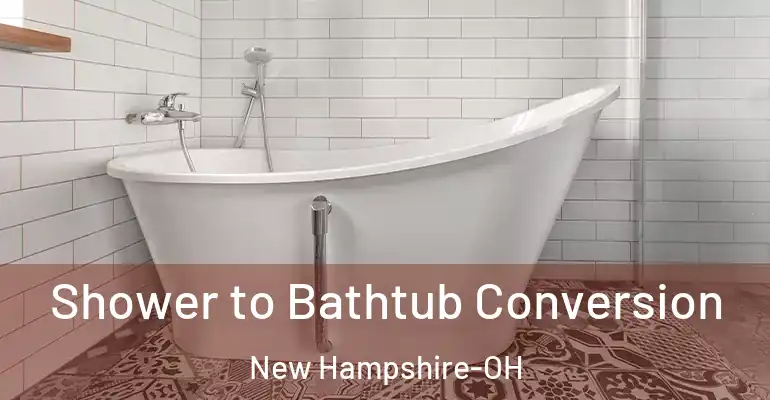 inner Bathroom imggen Shower to Bathtub Conversion New Hampshire-OH