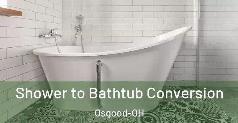 inner Bathroom imggen Shower to Bathtub Conversion Osgood-OH