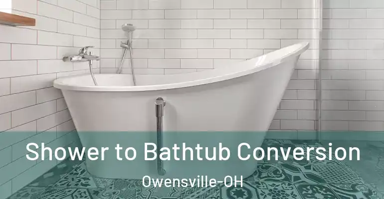 inner Bathroom imggen Shower to Bathtub Conversion Owensville-OH