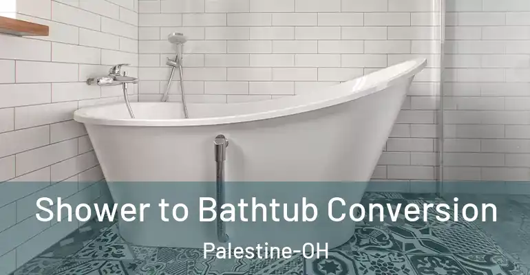 inner Bathroom imggen Shower to Bathtub Conversion Palestine-OH