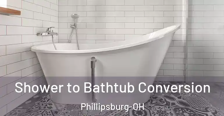 inner Bathroom imggen Shower to Bathtub Conversion Phillipsburg-OH