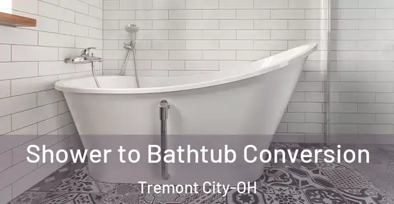 inner Bathroom imggen Shower to Bathtub Conversion Tremont City-OH