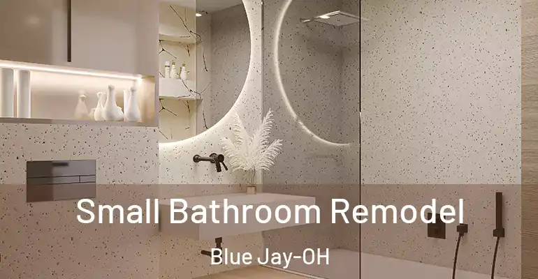 inner Bathroom imggen Small Bathroom Remodel Blue Jay-OH