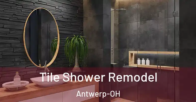 inner Bathroom imggen Tile Shower Remodel Antwerp-OH