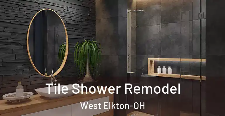 inner Bathroom imggen Tile Shower Remodel West Elkton-OH