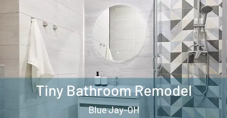 inner Bathroom imggen Tiny Bathroom Remodel Blue Jay-OH