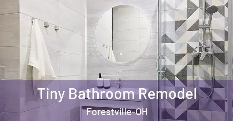 inner Bathroom imggen Tiny Bathroom Remodel Forestville-OH