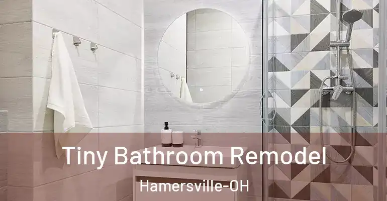 inner Bathroom imggen Tiny Bathroom Remodel Hamersville-OH