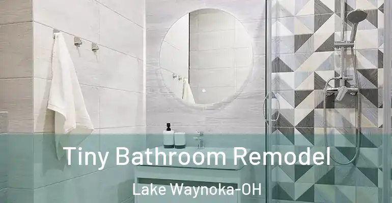 inner Bathroom imggen Tiny Bathroom Remodel Lake Waynoka-OH