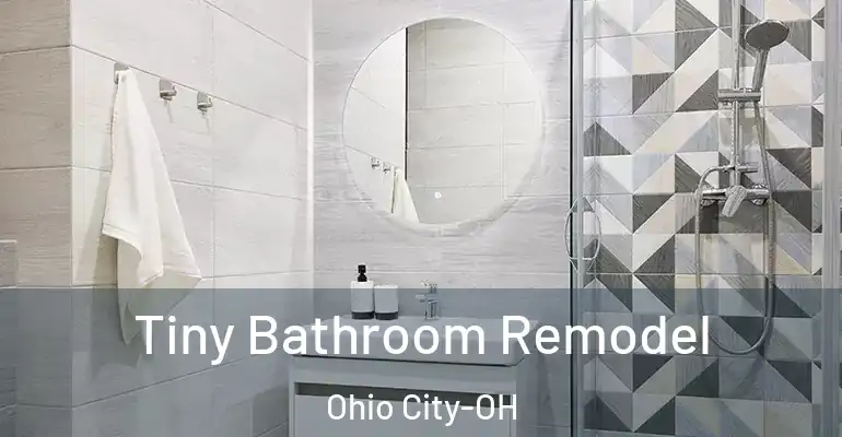 inner Bathroom imggen Tiny Bathroom Remodel Ohio City-OH