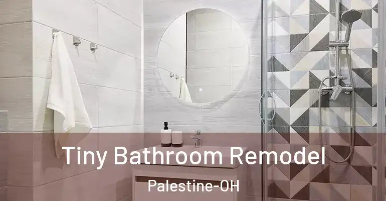 inner Bathroom imggen Tiny Bathroom Remodel Palestine-OH
