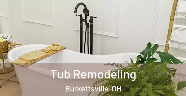 inner Bathroom imggen Tub Remodeling Burkettsville-OH