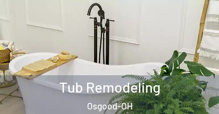 inner Bathroom imggen Tub Remodeling Osgood-OH