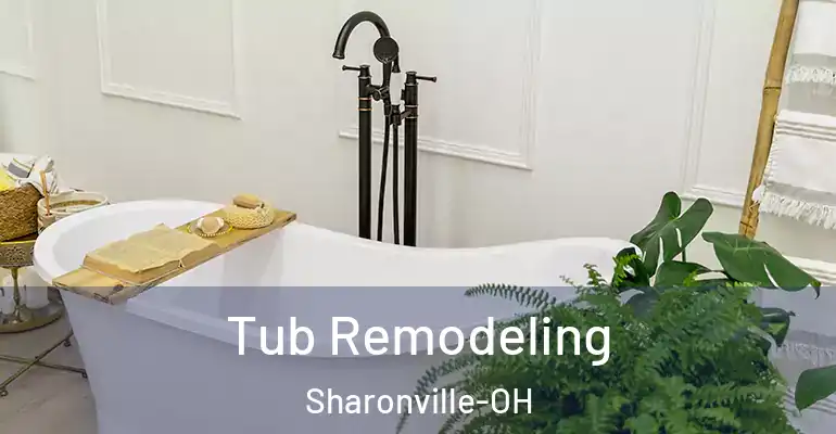inner Bathroom imggen Tub Remodeling Sharonville-OH