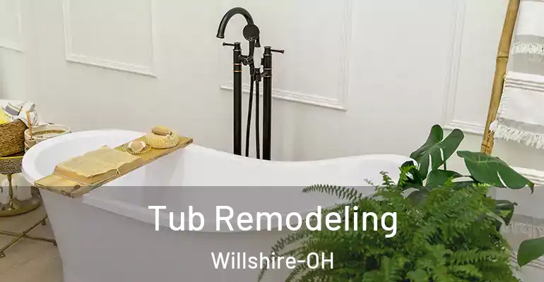 inner Bathroom imggen Tub Remodeling Willshire-OH