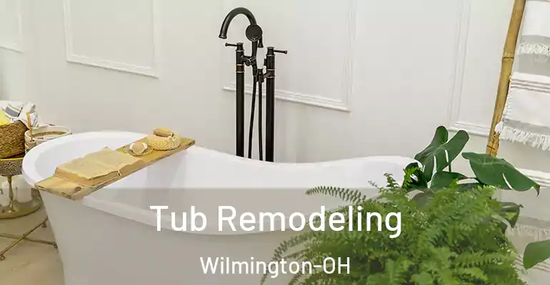 inner Bathroom imggen Tub Remodeling Wilmington-OH