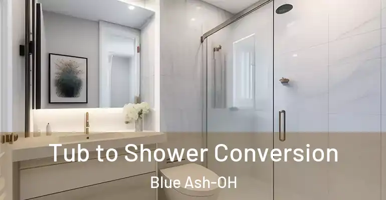 inner Bathroom imggen Tub to Shower Conversion Blue Ash-OH