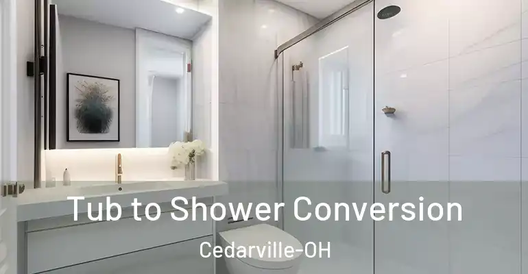 inner Bathroom imggen Tub to Shower Conversion Cedarville-OH