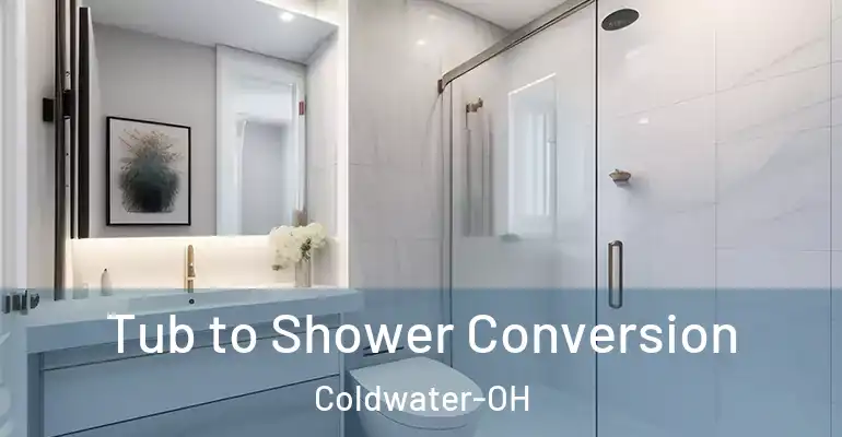 inner Bathroom imggen Tub to Shower Conversion Coldwater-OH