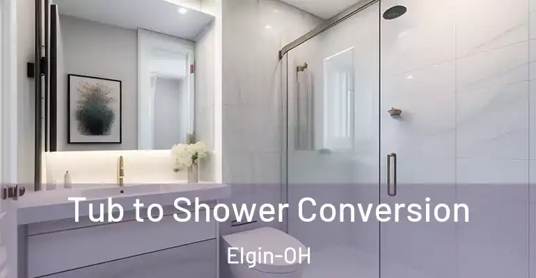 inner Bathroom imggen Tub to Shower Conversion Elgin-OH