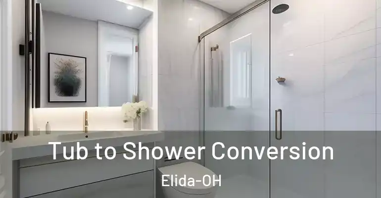inner Bathroom imggen Tub to Shower Conversion Elida-OH