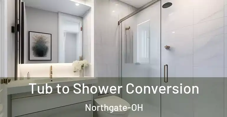 inner Bathroom imggen Tub to Shower Conversion Northgate-OH