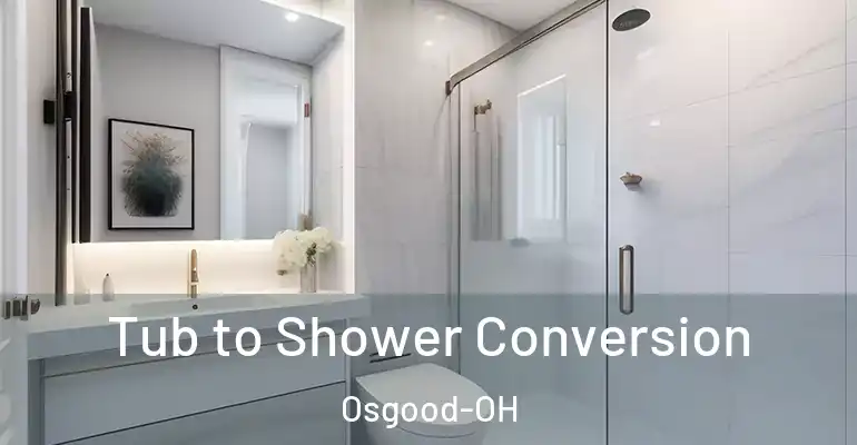 inner Bathroom imggen Tub to Shower Conversion Osgood-OH