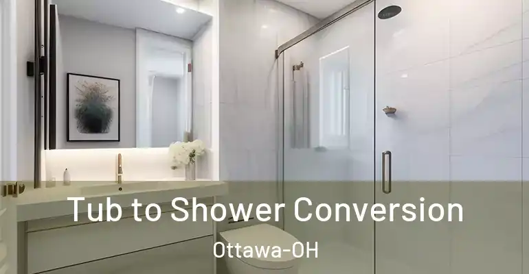 inner Bathroom imggen Tub to Shower Conversion Ottawa-OH