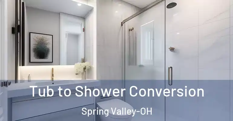 inner Bathroom imggen Tub to Shower Conversion Spring Valley-OH