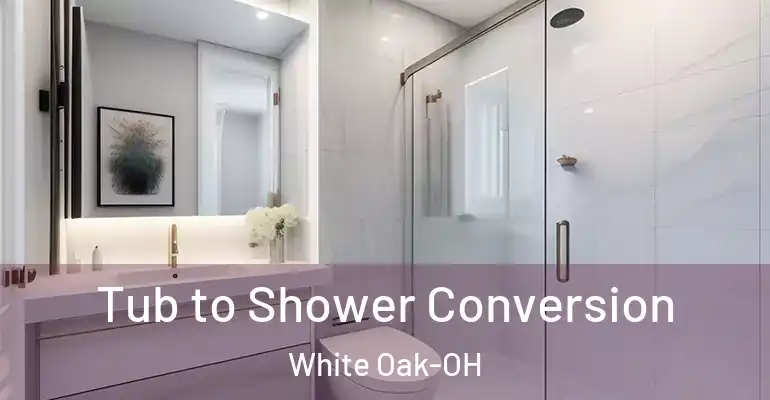 inner Bathroom imggen Tub to Shower Conversion White Oak-OH