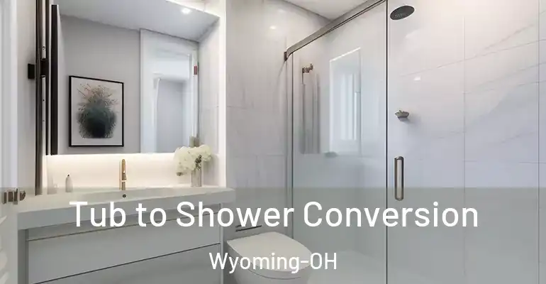 inner Bathroom imggen Tub to Shower Conversion Wyoming-OH