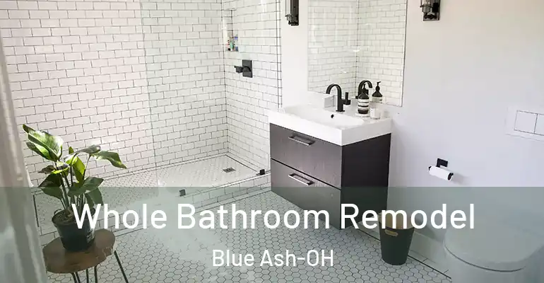 inner Bathroom imggen Whole Bathroom Remodel Blue Ash-OH